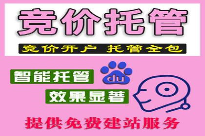 竞价推广策略：成功企业的案例分享